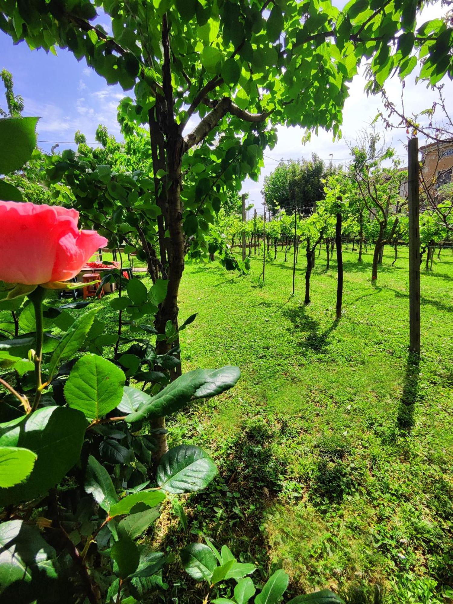 Garda Relais Antica Romelia Bed & Breakfast Montichiari Dış mekan fotoğraf