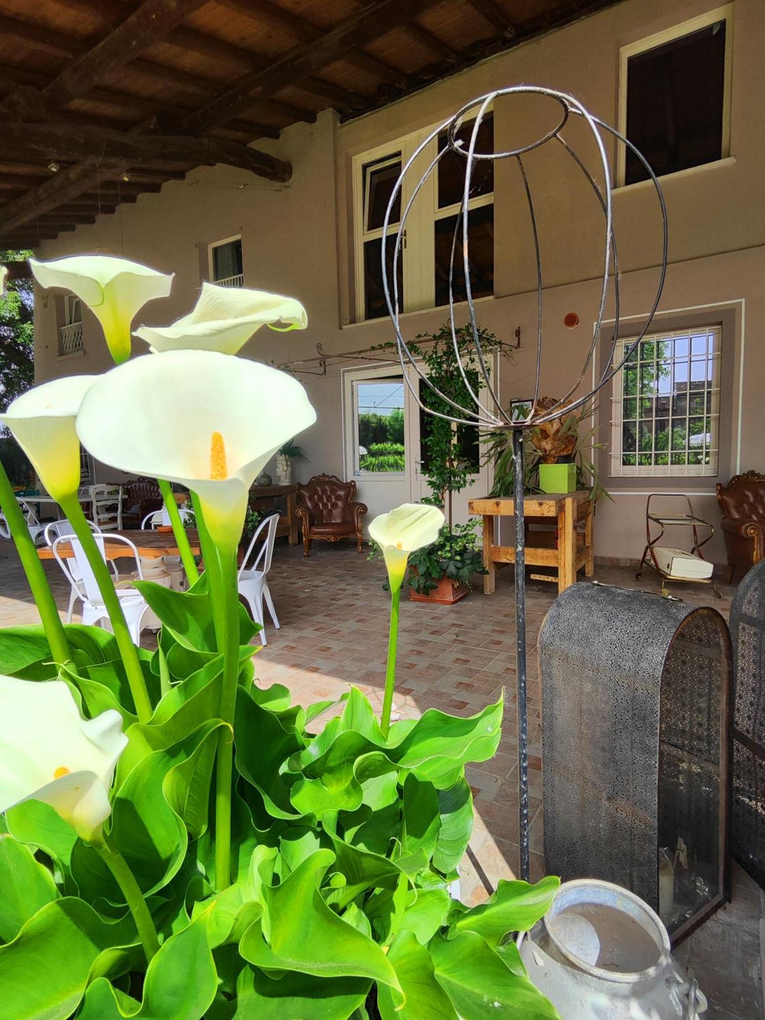 Garda Relais Antica Romelia Bed & Breakfast Montichiari Dış mekan fotoğraf